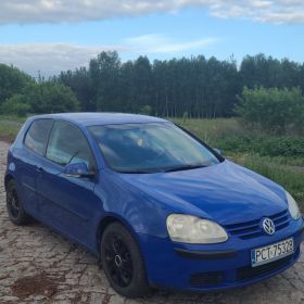 Golf 5 1.9TDI 105 km 2004 rok.